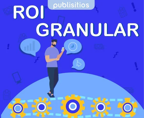 Granular ROI 