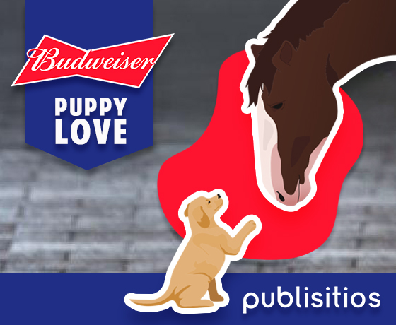 BUDWEISER PUPPY IS BACK!